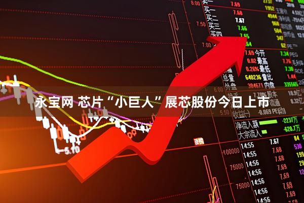 永宝网 芯片“小巨人”展芯股份今日上市